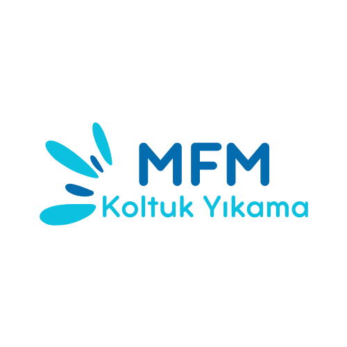 MFM (1)